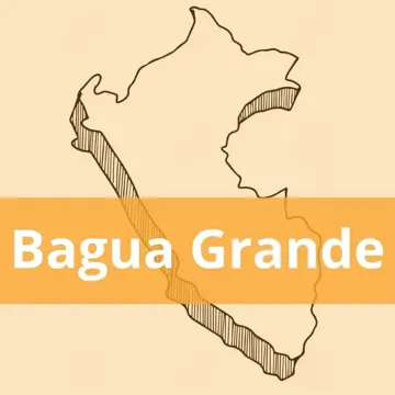 Oficinas Olva Courier en Bagua Grande