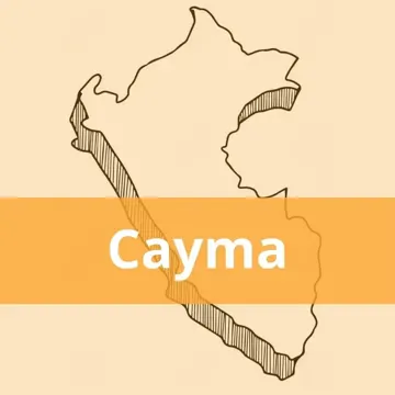 Oficinas Olva Courier en Cayma