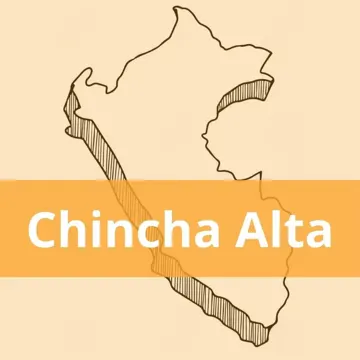 Oficinas Olva Courier en Chincha Alta