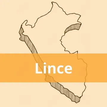 Oficinas Olva Courier en Lince
