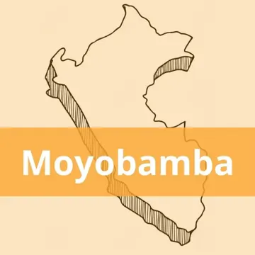 Oficinas Olva Courier en Moyobamba
