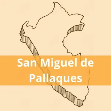 Oficinas Olva Courier en San Miguel De Pallaques