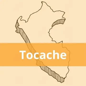 Oficinas Olva Courier en Tocache