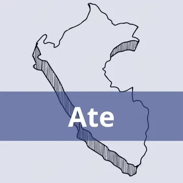 Oficinas Serpost en Ate