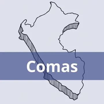 Oficinas Serpost en Comas