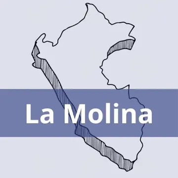 Oficinas Serpost en La Molina