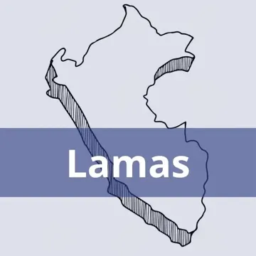 Oficinas Serpost en Lamas