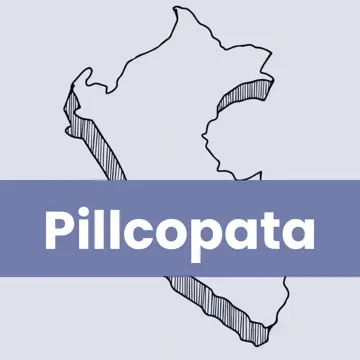 Oficinas Serpost en Pillcopata