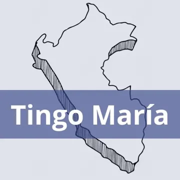 Oficinas Serpost en Tingo Maria