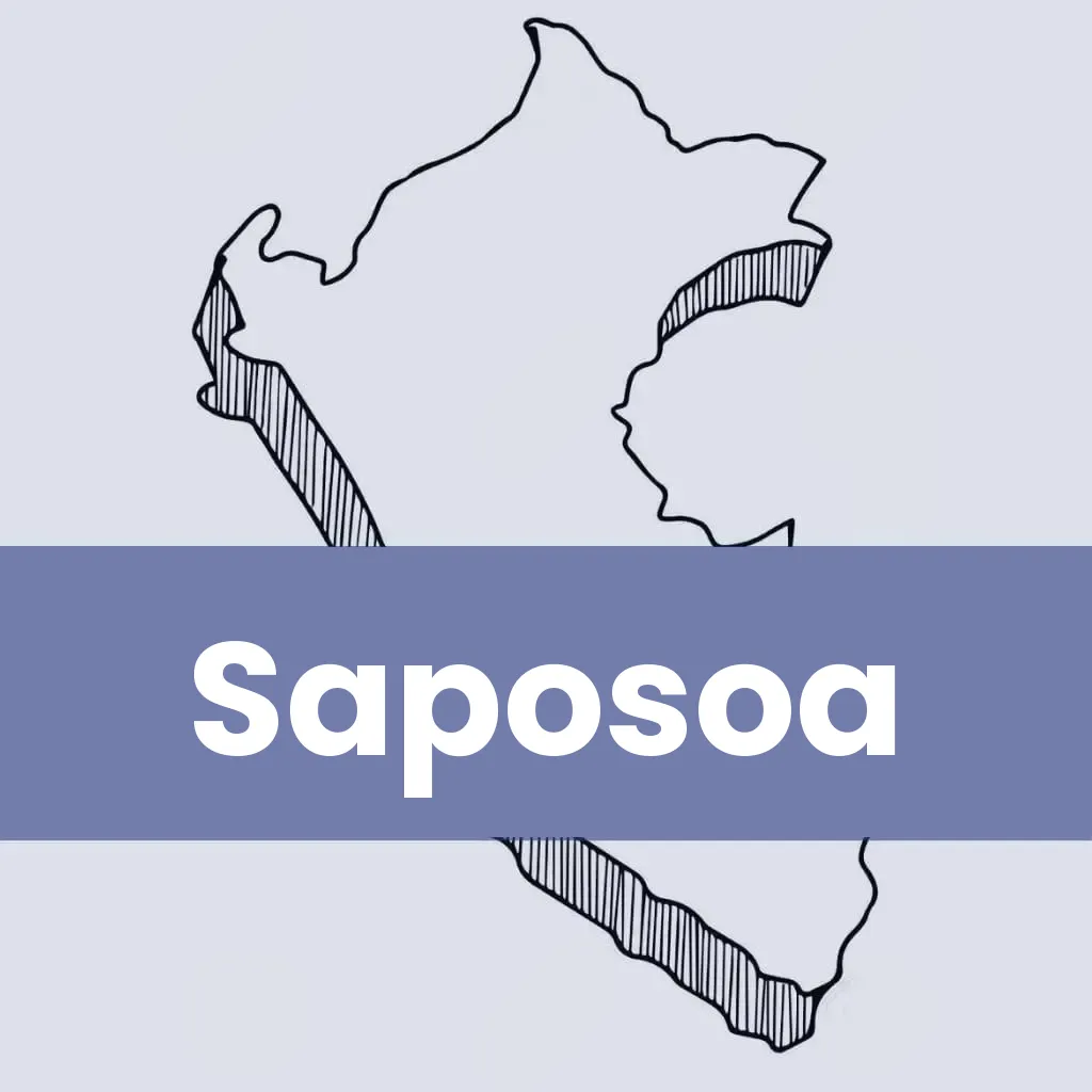 Oficinas Serpost en Saposoa